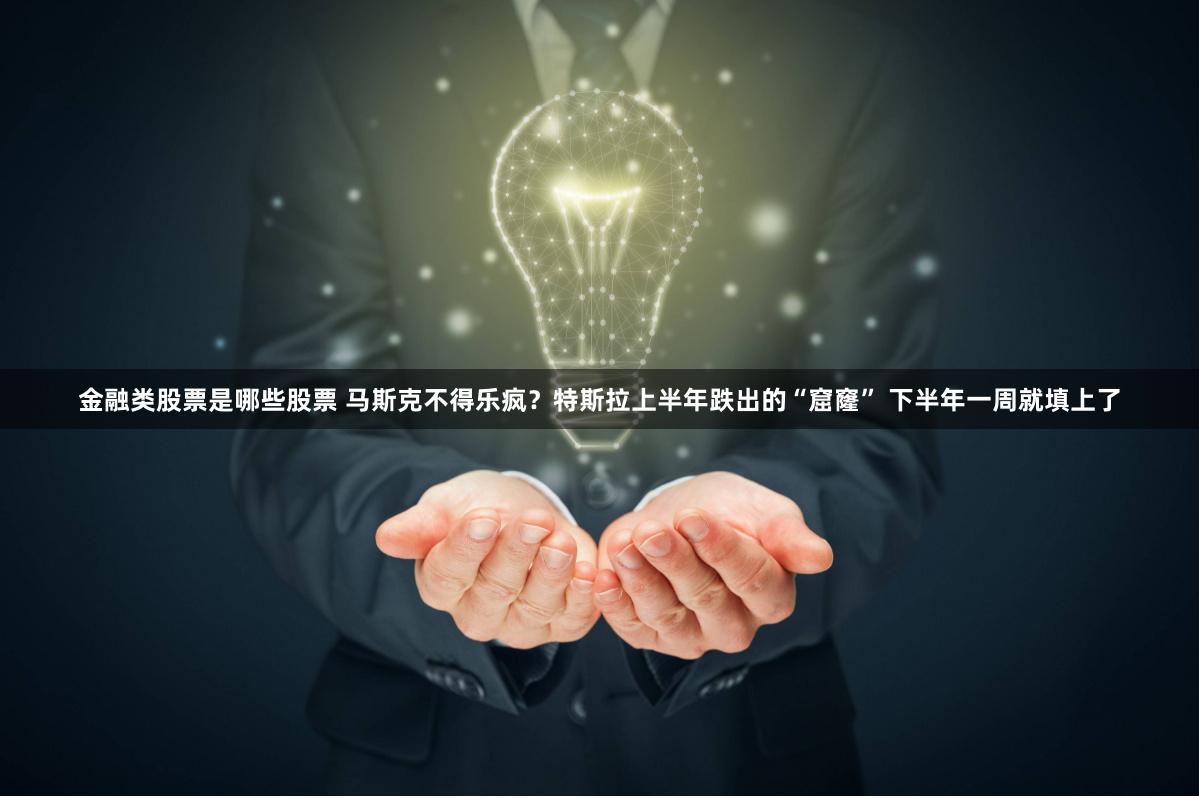 金融类股票是哪些股票 马斯克不得乐疯？特斯拉上半年跌出的“窟窿” 下半年一周就填上了