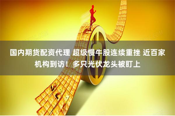 国内期货配资代理 超级慢牛股连续重挫 近百家机构到访！多只光伏龙头被盯上