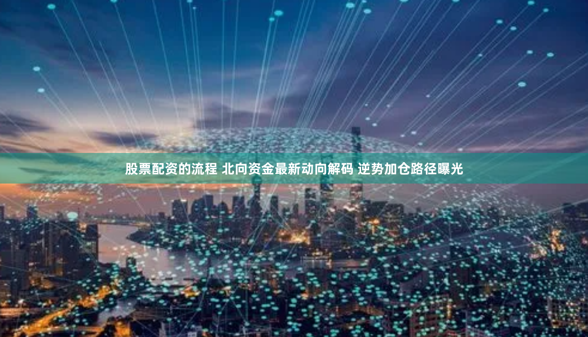 股票配资的流程 北向资金最新动向解码 逆势加仓路径曝光
