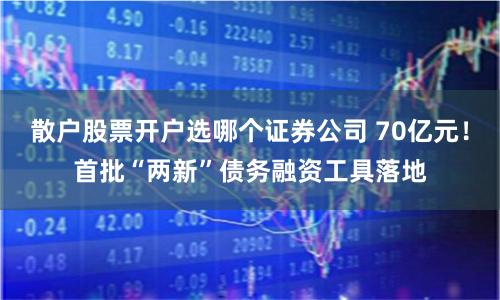 散户股票开户选哪个证券公司 70亿元！首批“两新”债务融资工具落地