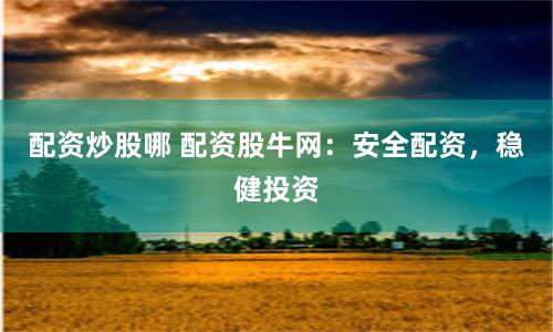 配资炒股哪 配资股牛网：安全配资，稳健投资