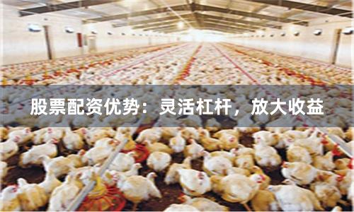 股票配资优势：灵活杠杆，放大收益